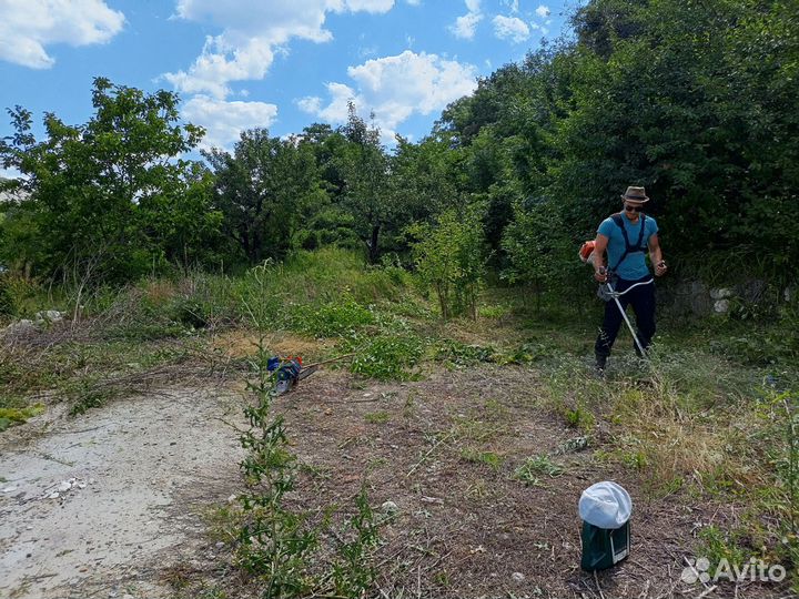 Расчистка участка, Спил деревьев Покос травы