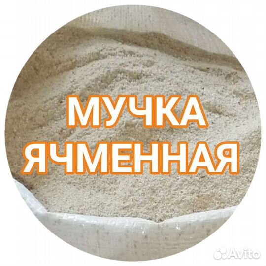 Мучка Ячменная