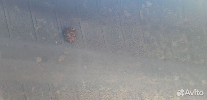 Nexen Classe Premiere 661 195/55 R16 87H