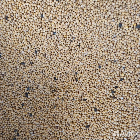 Зерно, комбикорма, семена