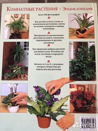 Энциклопедия комнатных растений