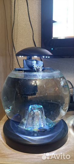 Аквариум круглый tetra cascade globe 6,8 л