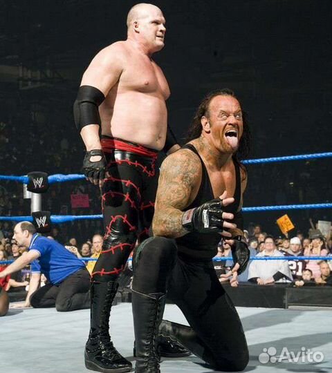 Фигурки WWE Brothers of Destruction