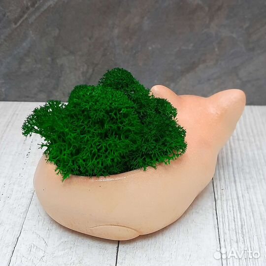 Кашпо лиса со стабилизированным мхом