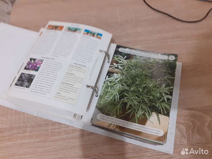 Каталог комнатных растений