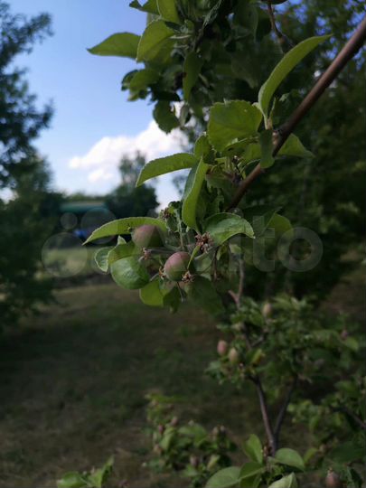 Дача 90 м² на участке 15 сот.