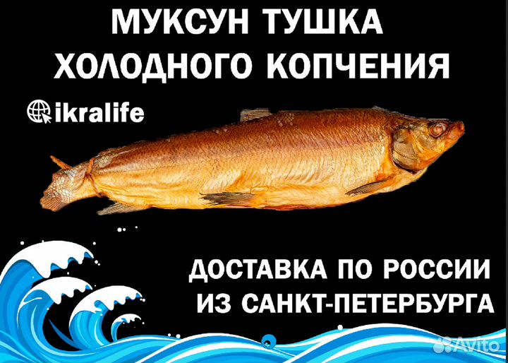 Рыба Муксун тушка х/к от 5 кг. Доставка по РФ