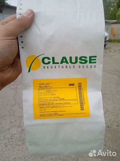 Семена сладкой кукурузы