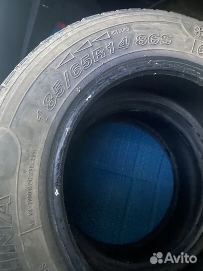 Triangle Snowlink PL02 185/55 R14