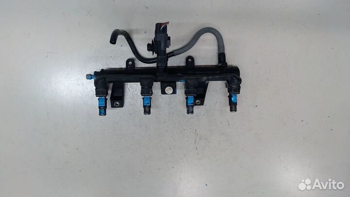 Форсунка топливная Peugeot 206, 2005