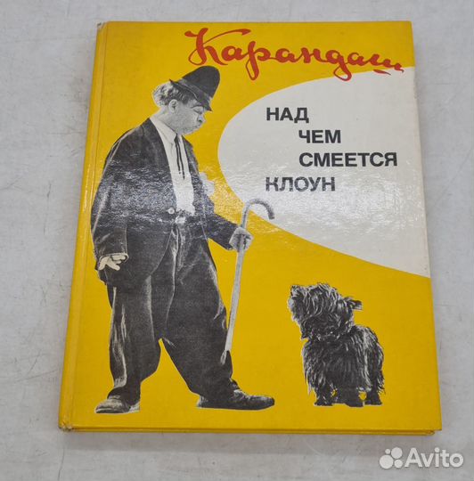 Над чем смеется клоун Румянцев Михаил Николаевич