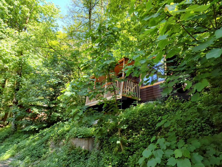 Дом 24 м² на участке 1 сот.