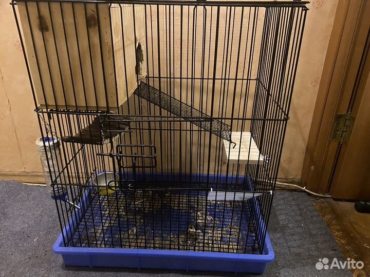 Клетка для грызунов бу
