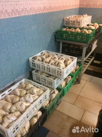 Мясо домашней курицы