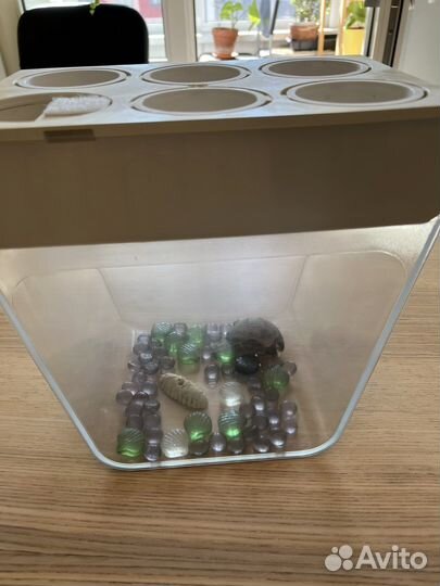 Акваферма, аквариум, живой огород