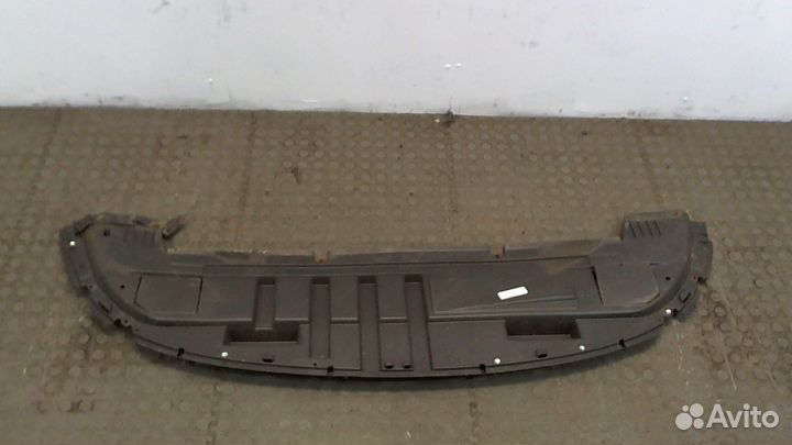 Защита моторного отсека Renault Clio, 2010