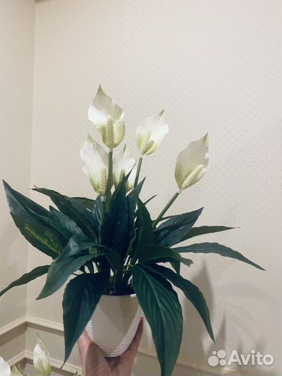Искусственные цветы спатифиллум антуриум зелень