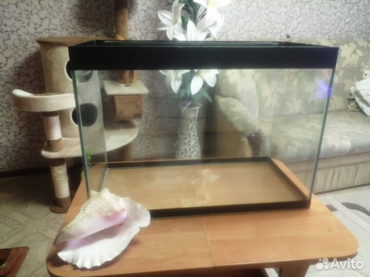 Аквариум