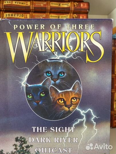 Коты воители на английском