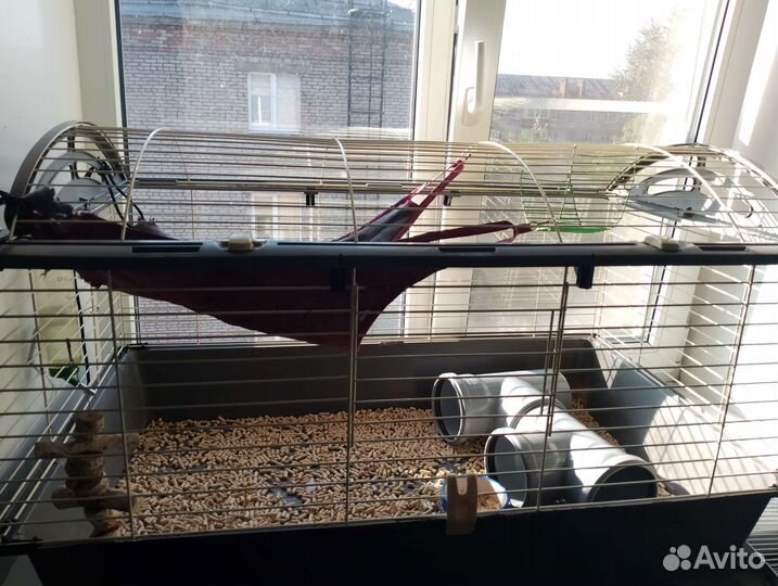 Большая клетка