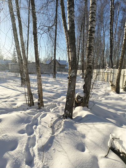 Участок 25 сот. (ИЖС)