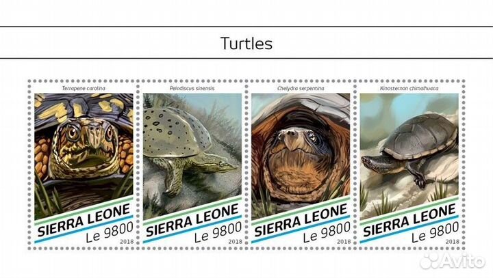 Сьерра-Леоне, 2018. (18514) Морская фауна, черепах