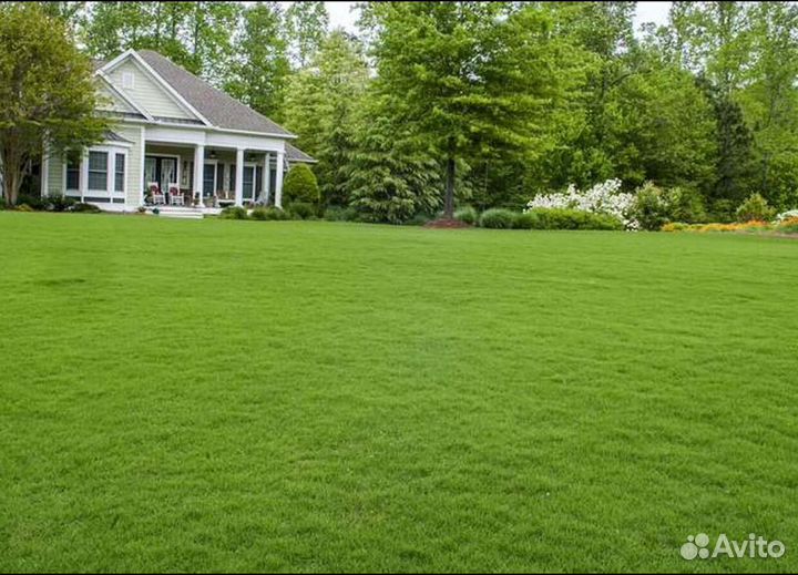 Рулонный газон под ключ