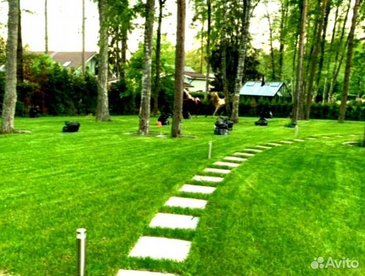 Рулонный газон