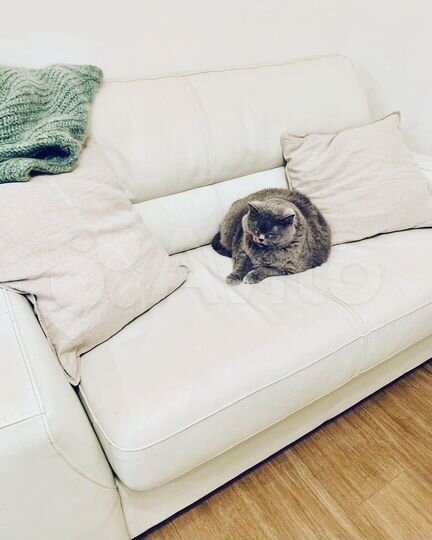 2-к. квартира, 50 м², 24/24 эт.