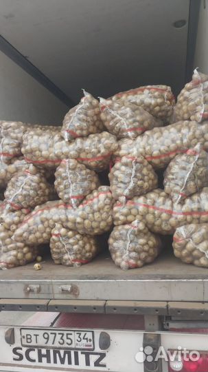 Овощи и фрукты