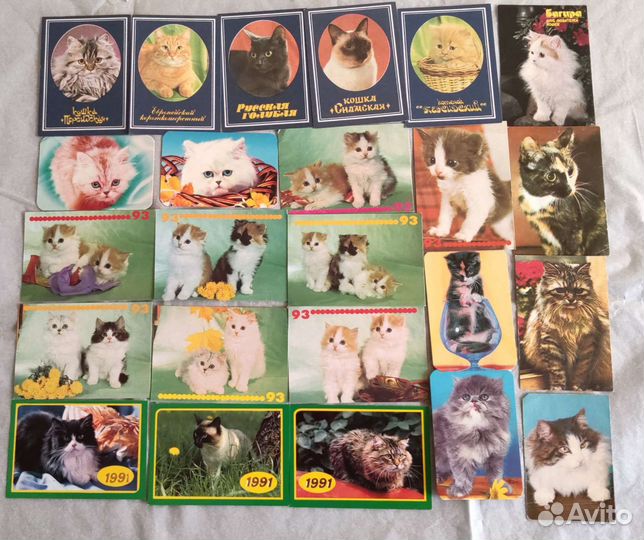 Подборка карманных Календарей. Кошки и котята