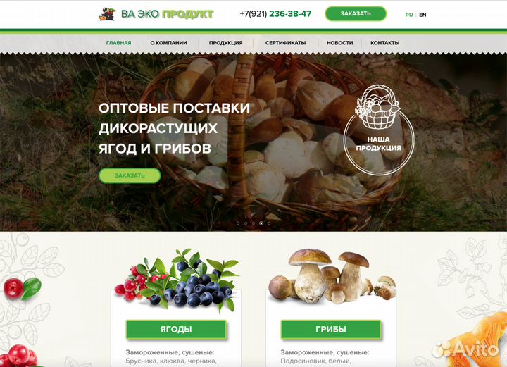 Создание сайтов. Продвижение сайтов - Екатеринбург