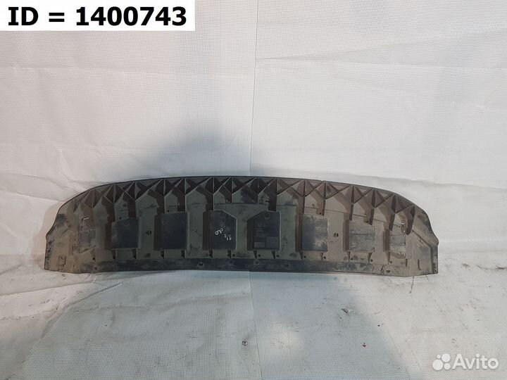 Защита переднего бампера Skoda Rapid