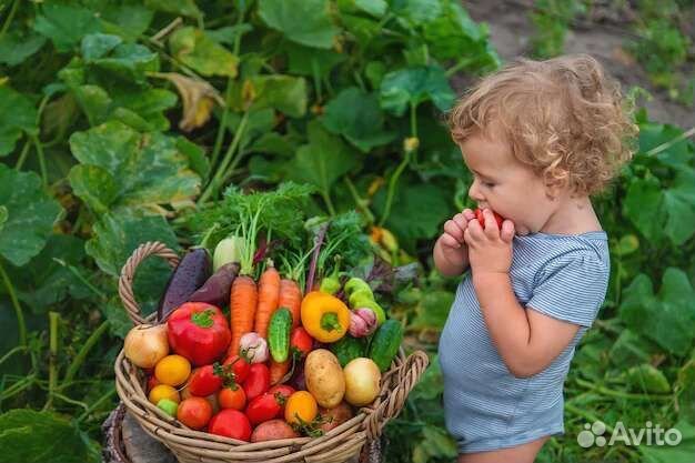 Перегной удобрение для сада огорода гоядок и т д