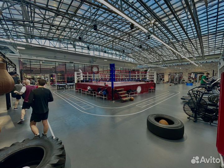 Тренер по Боксу