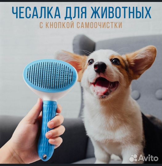 Принадлежности для собак