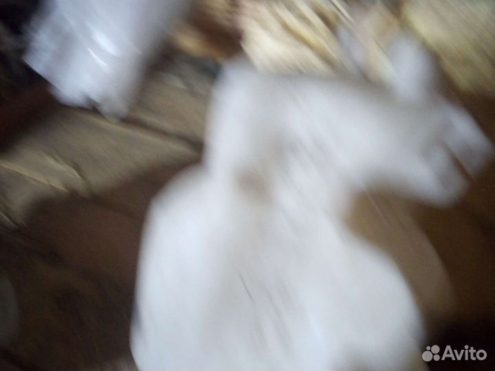 Hyundai хундай