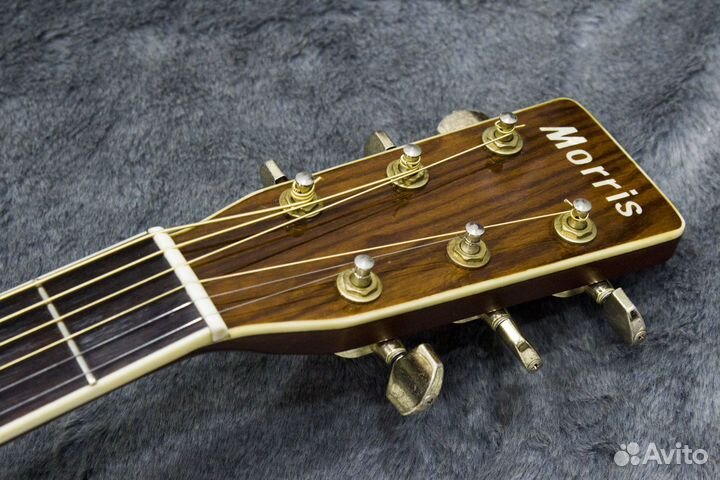 Акустическая Гитара Morris MD-515 Japan