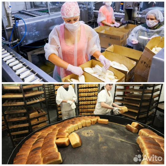 Рабочие по производство