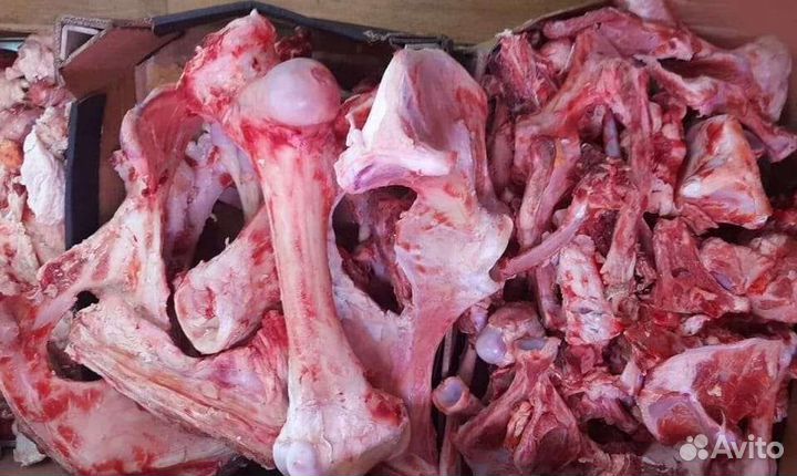 Мясо и кости для собак