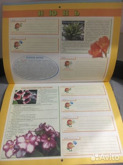 Календарь комнатных растений