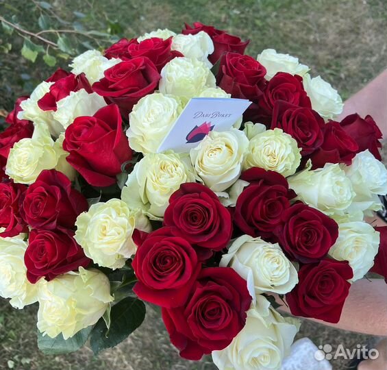 51 эквадорская роза премиум 60см