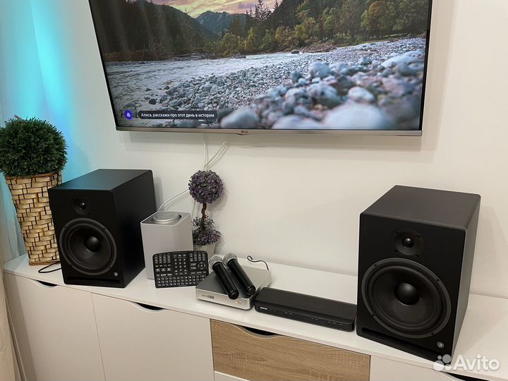 Evolution Evobox + shure blx 88 + студийный звук