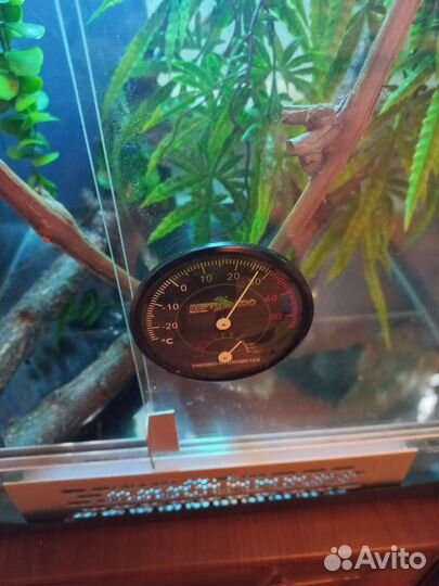 Террариум для хамелеона и др. рептилий