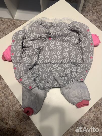 Одежда для средних собак