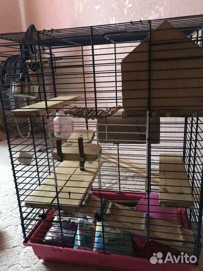 Клетка для шиншиллы