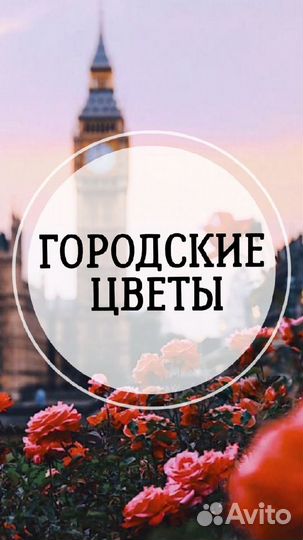 Ночной продавец в салон цветов