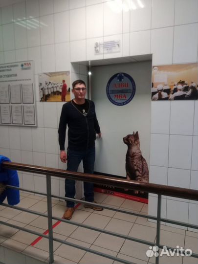 Ветеринарный врач на дом 24/7