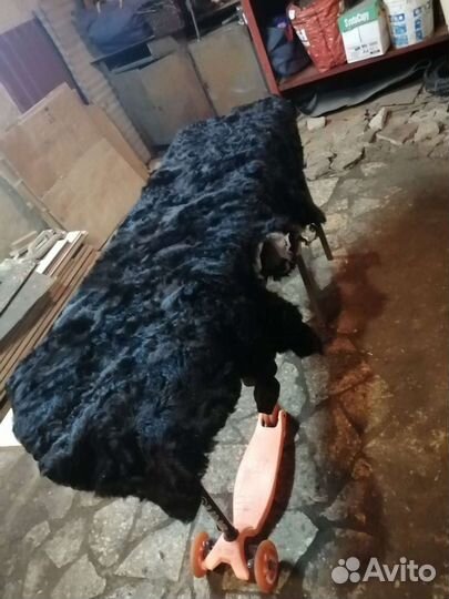 Шкура натуральная выделанная