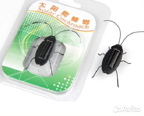 Жук на солнечной батарее